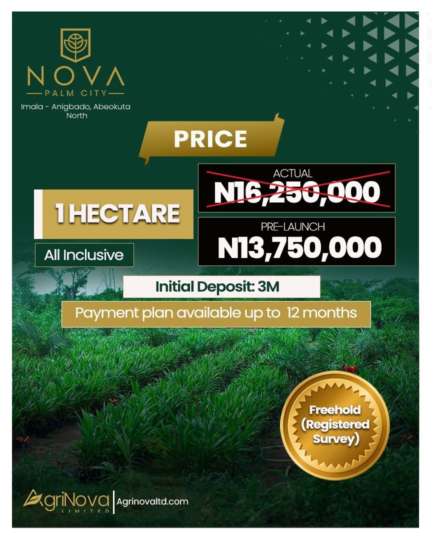Nova Palm City. A structured oil palm agricultural investments. Gain ownership of verified land with professional management.