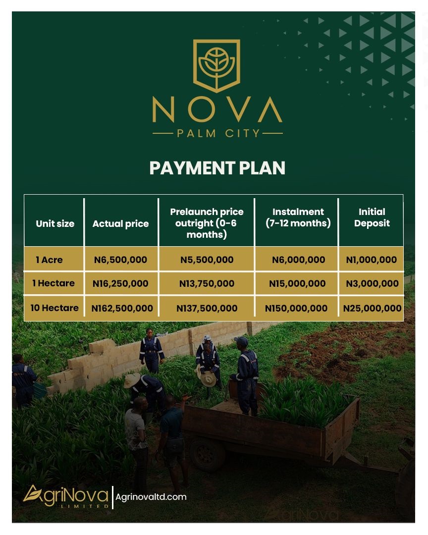 Nova Palm City. A structured oil palm agricultural investments. Gain ownership of verified land with professional management.